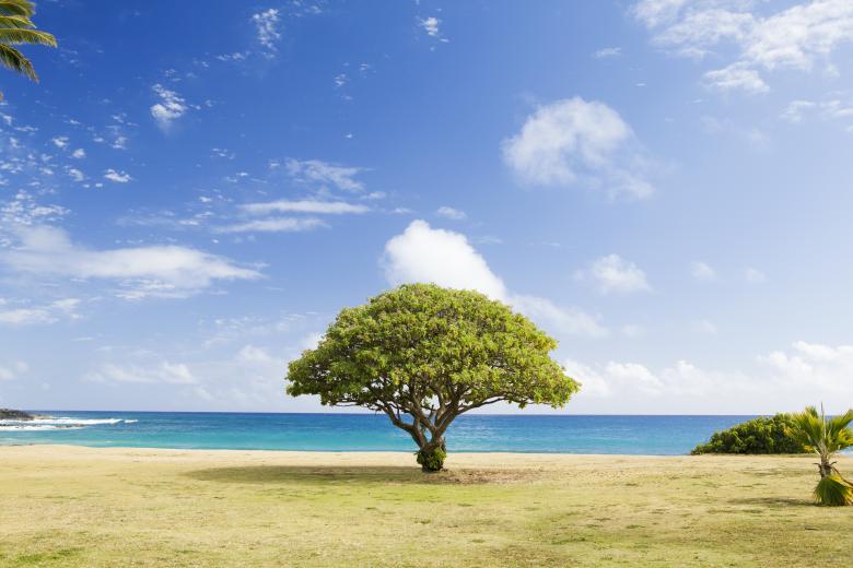 Free stock image of Beautiful View created by Unsplash