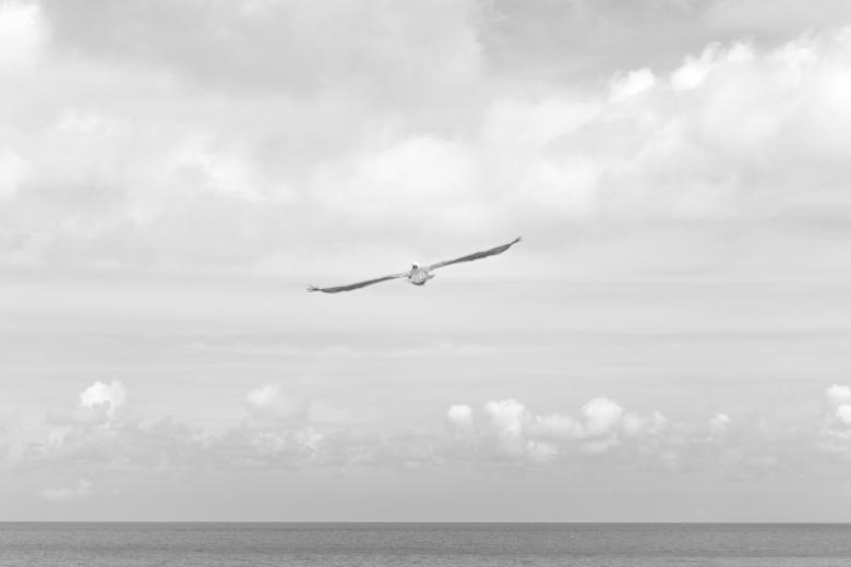 Free stock image of Freedom created by Unsplash