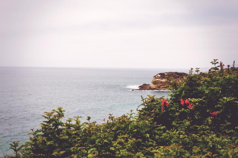 Free stock image of The Island created by Unsplash