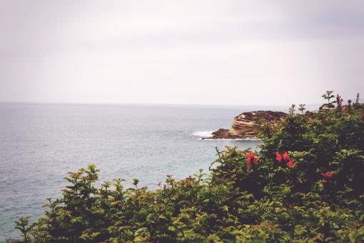 The Island - Free Stock Photo