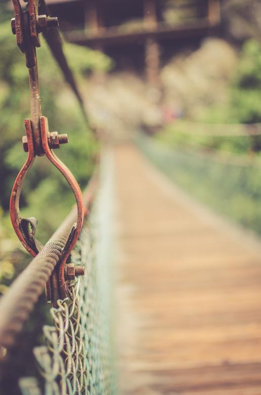 Free stock image of Support created by Unsplash