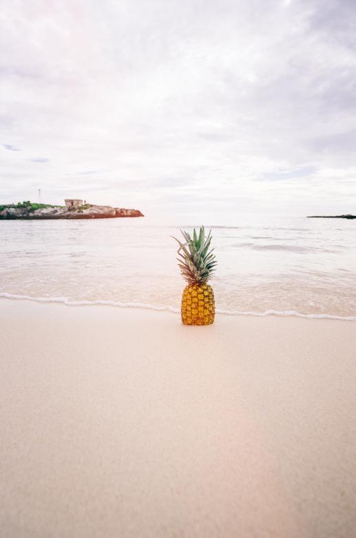 Free stock image of Pineapple on the Beach created by Unsplash