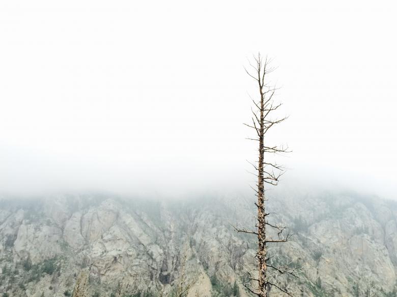 Free stock image of Lonely Tree created by Unsplash