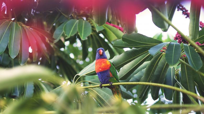 Free stock image of Colors of Nature created by Unsplash
