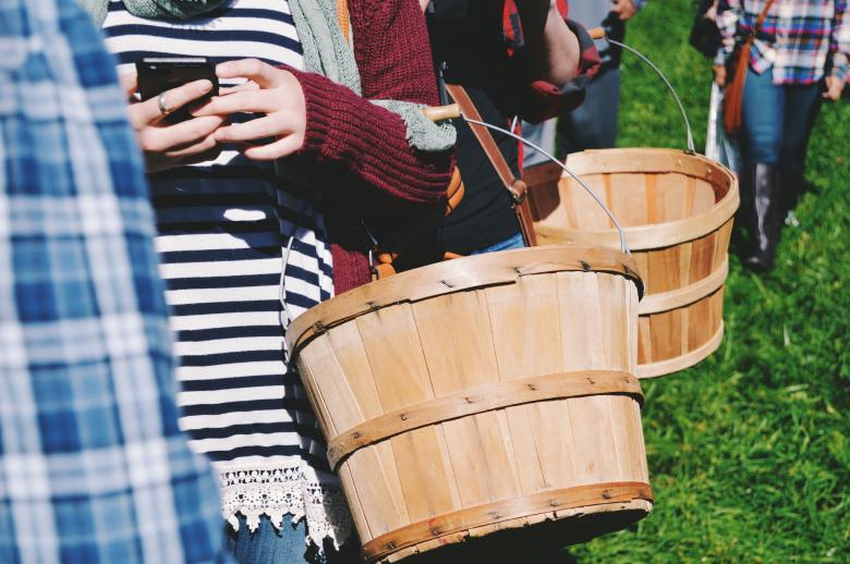 Free stock image of In line  created by Unsplash