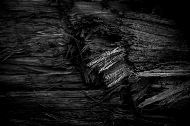 Free stock image of Burned Wood Texture created by Free Texture Friday