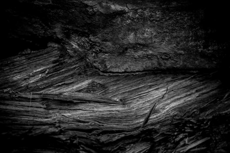 Free stock image of Burned Wood Texture created by Free Texture Friday