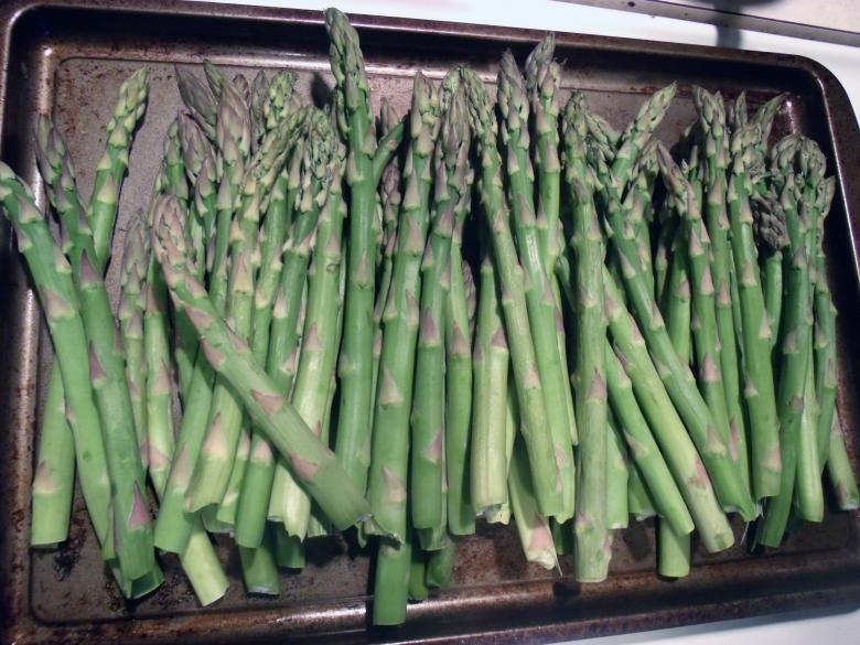 Free stock image of Asparagus created by David M