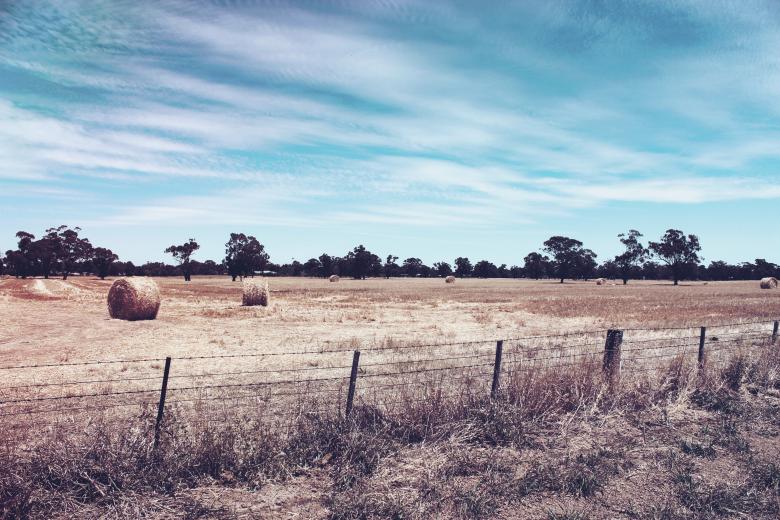 Free stock image of Field created by Pixabay