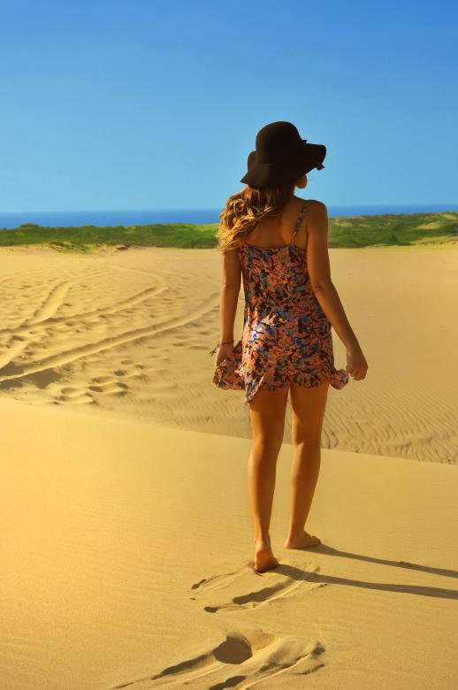 Free stock image of Sandy created by Pixabay