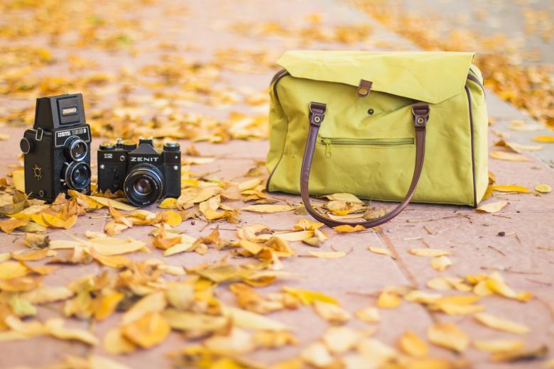 Free stock image of Cameras and Autumn Leaves created by Pixabay