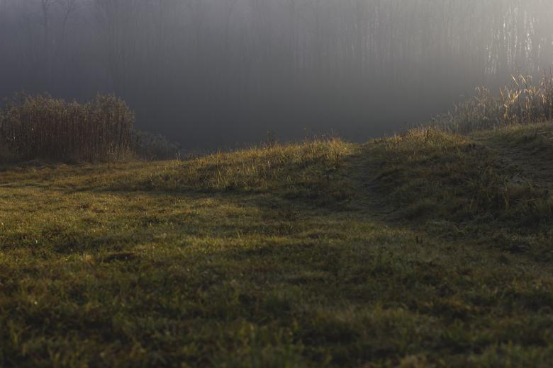 Free stock image of Nature created by Pixabay