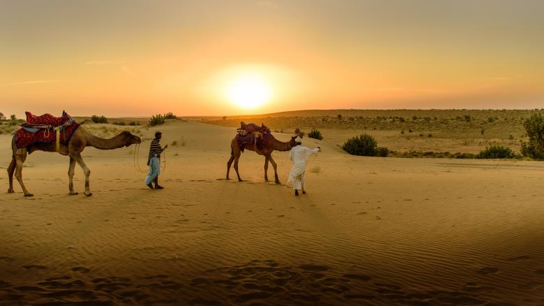 Free stock image of Camels in the Desert created by Pixabay