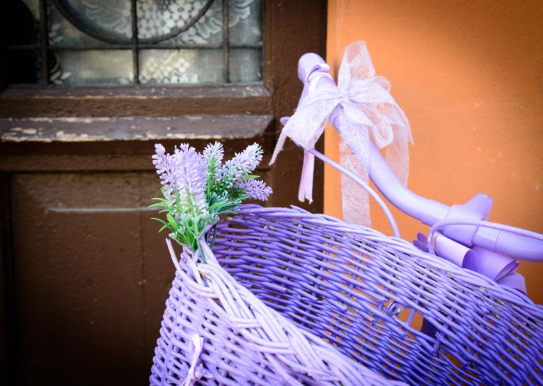 Free stock image of The Bicycle created by Pixabay