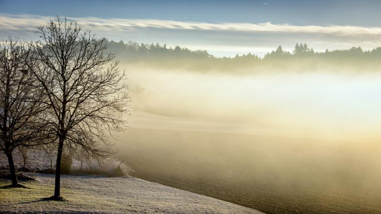 Free stock image of Winter created by Pixabay