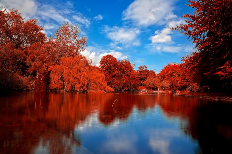 Free stock image of St Stephen's Red - HDR created by Nicolas Raymond