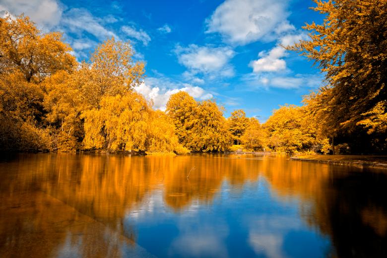 Free stock image of St Stephens Gold - HDR created by Nicolas Raymond