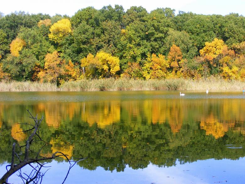 Free stock image of Nature created by Pixabay