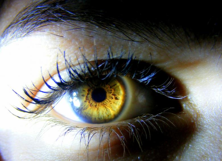 Free stock image of Human Eye created by Pixabay