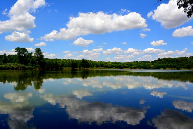 Free stock image of Mirror Effect created by Pixabay