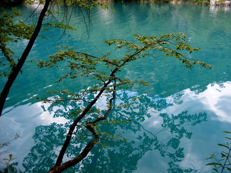 Free stock image of Reflection in the Lake created by Pixabay
