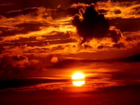 Free Stock Photo of Sunny