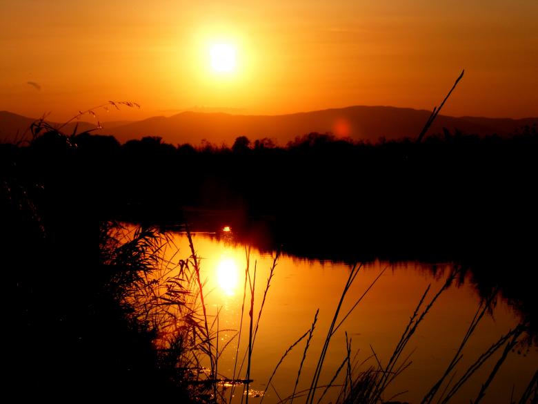 Free stock image of Sunny created by Pixabay
