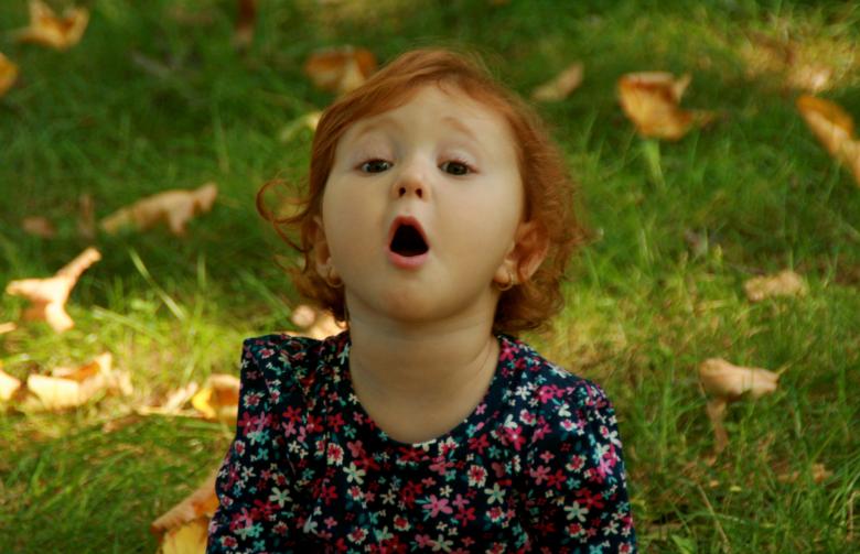 Free stock image of Adorable created by Pixabay