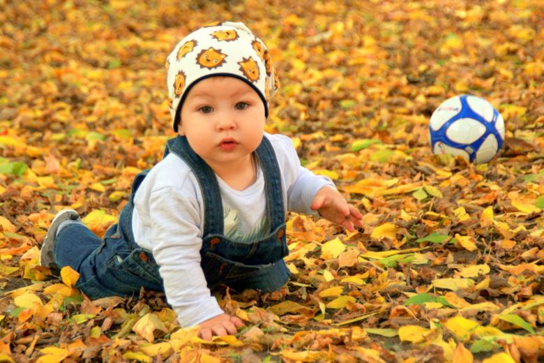 Free stock image of Cute created by Pixabay