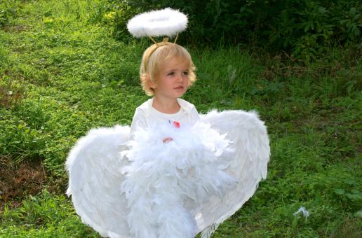 Free Stock Photo of Girl Angel
