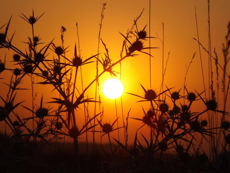 Free stock image of Sunset created by Pixabay