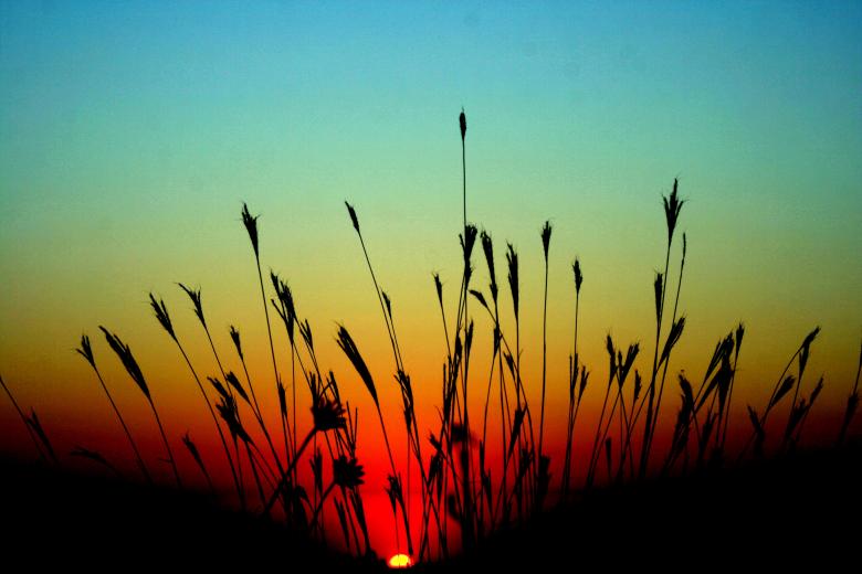 Free stock image of Sunset created by Pixabay