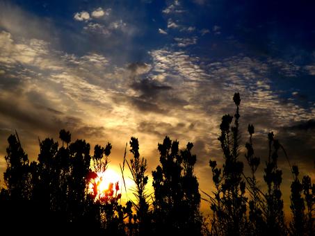 Free Stock Photo of Sunset