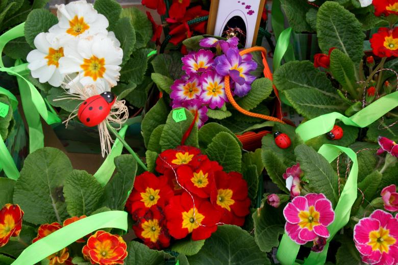 Free stock image of Flowers created by Pixabay