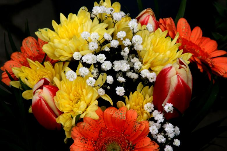 Free stock image of Flowers created by Pixabay