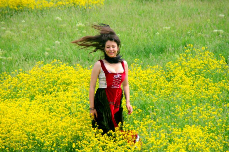 Free stock image of Field created by Pixabay