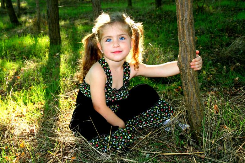 Free stock image of Holding a Tree created by Pixabay