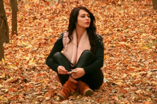 Free Stock Photo of Autumn