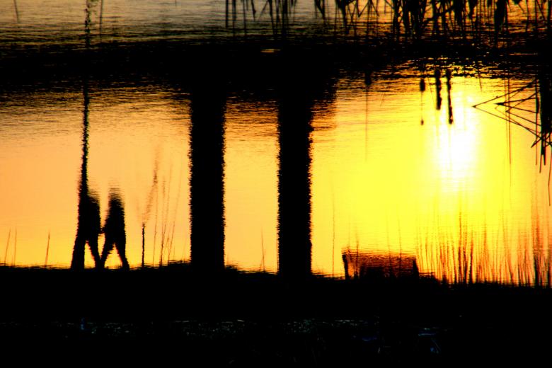 Free stock image of Reflection created by Pixabay