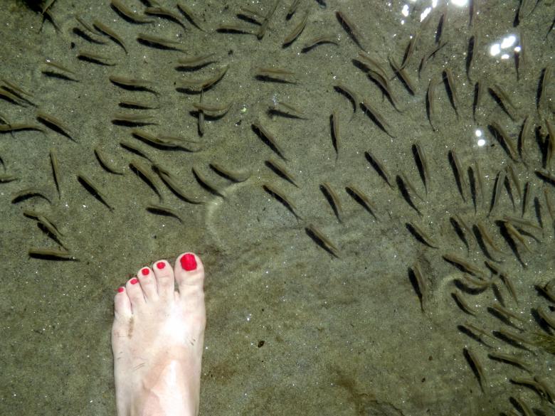 Free stock image of Foot In Water created by Pixabay
