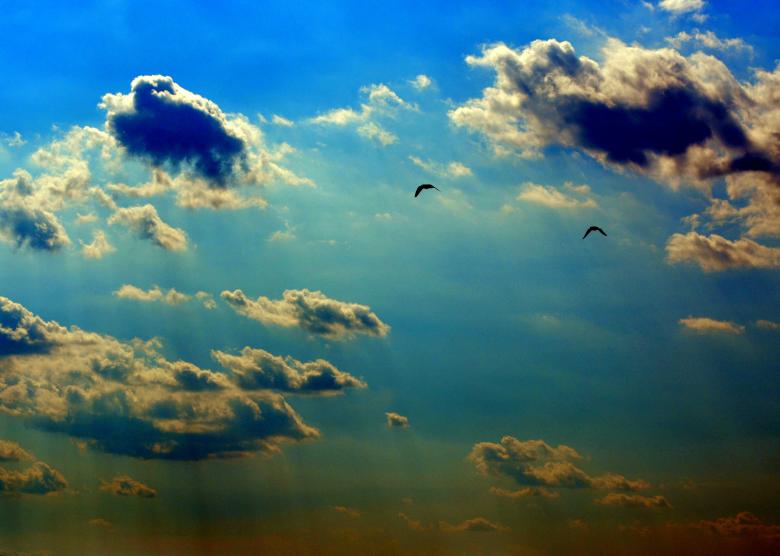 Free stock image of Flying High created by Pixabay