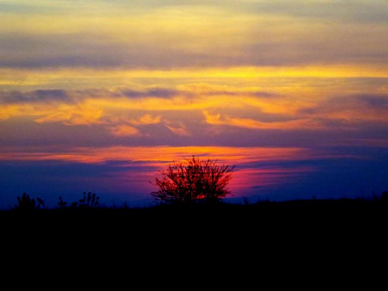 Free stock image of Sunset created by Pixabay