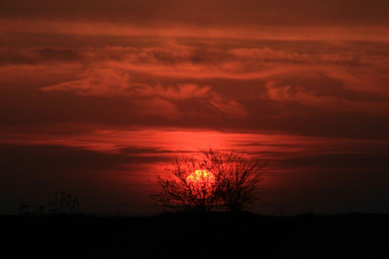 Free stock image of Red Sky created by Pixabay