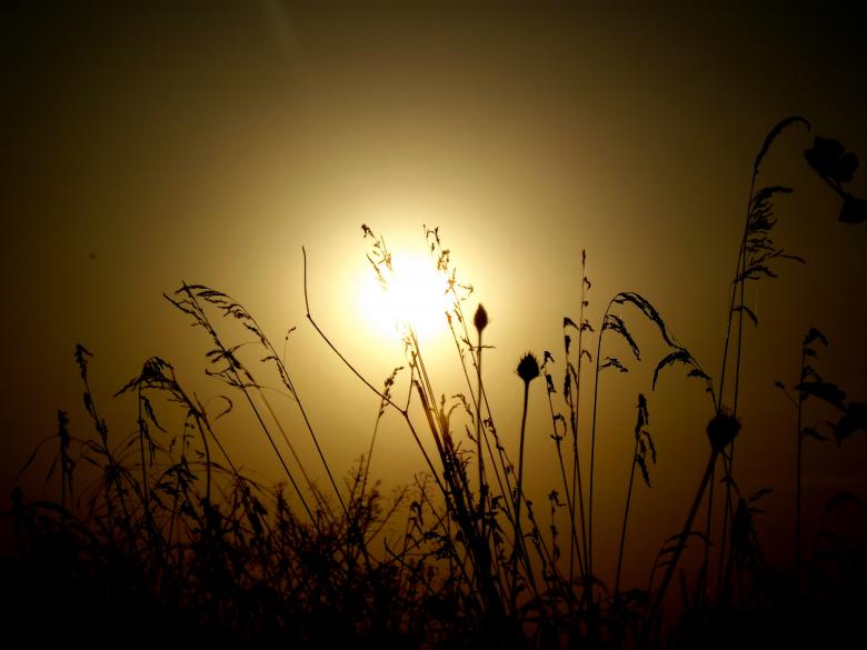 Free stock image of Sunset created by Pixabay