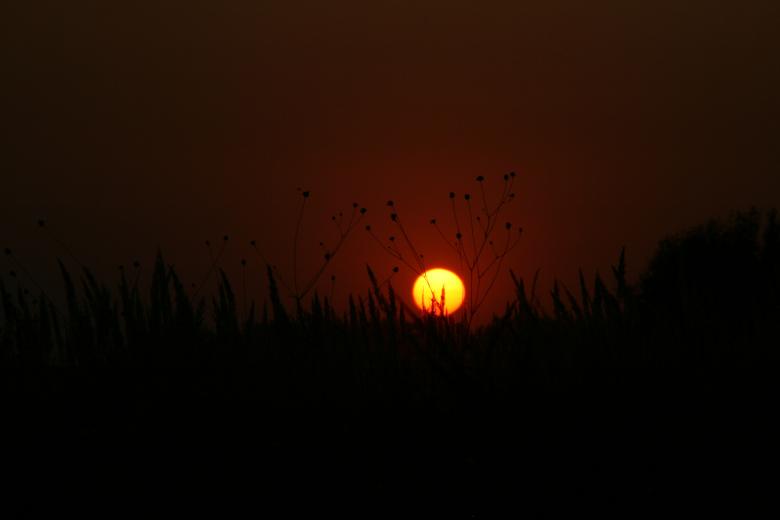 Free stock image of Sunset created by Pixabay