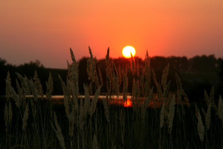 Free stock image of Sunset created by Pixabay