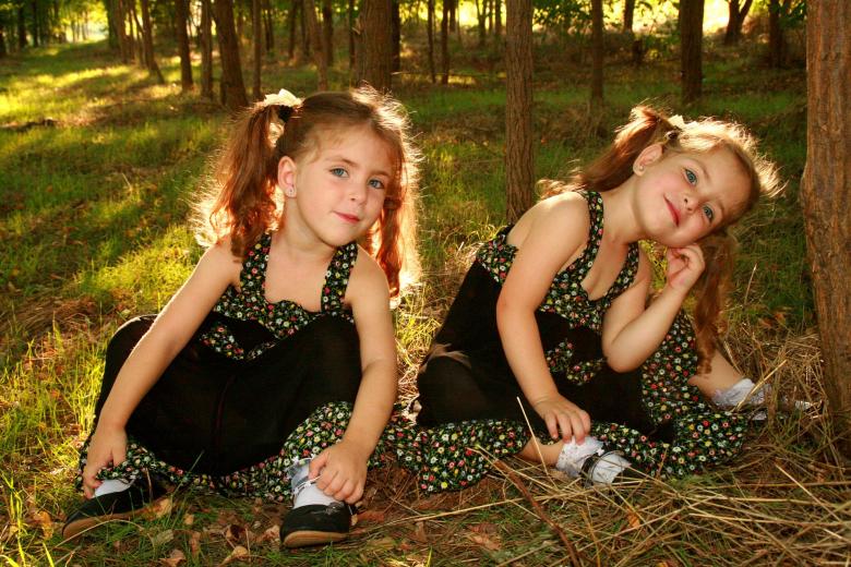 Free stock image of Twins created by Pixabay