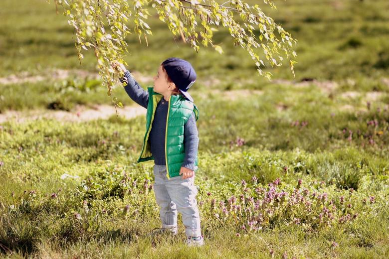 Free stock image of Cute created by Pixabay
