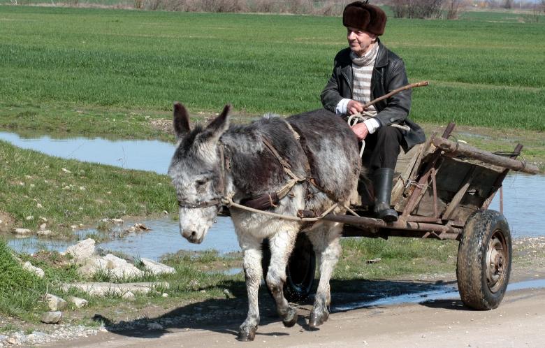 Free stock image of Donkey Man created by Pixabay