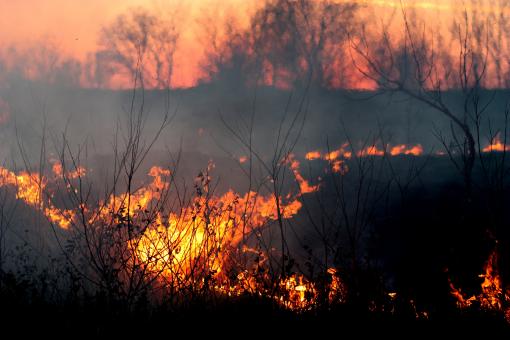 On Fire - Free Stock Photo